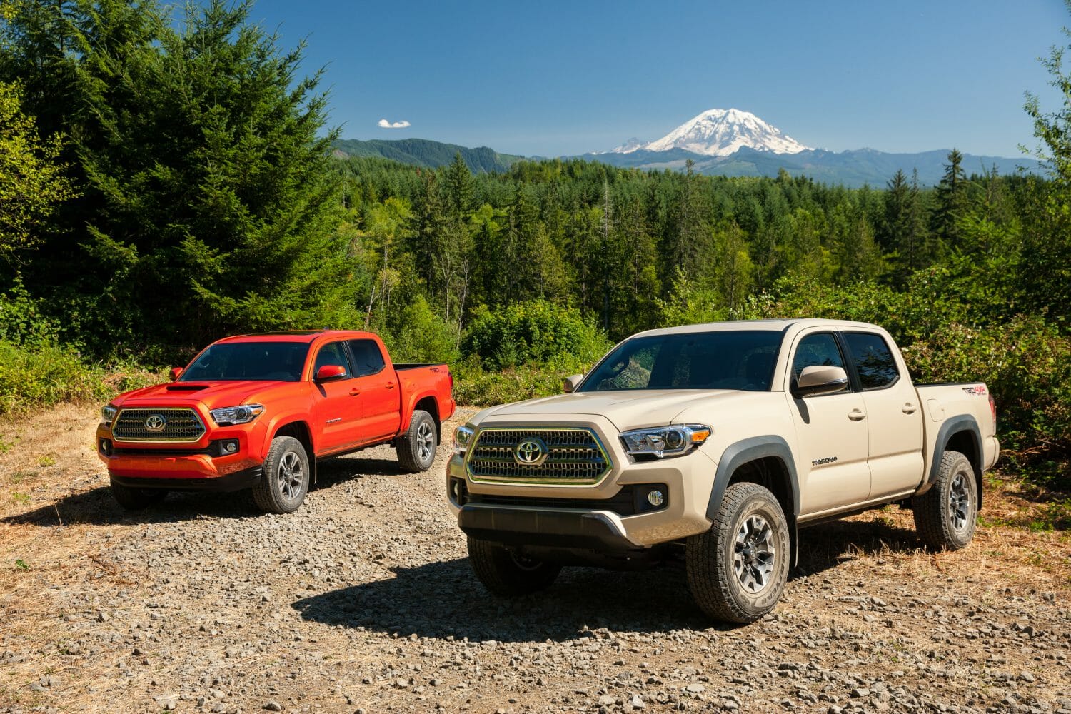 2016 Toyota Tacoma Review: A Reliable Class-Leading Compact Truck
