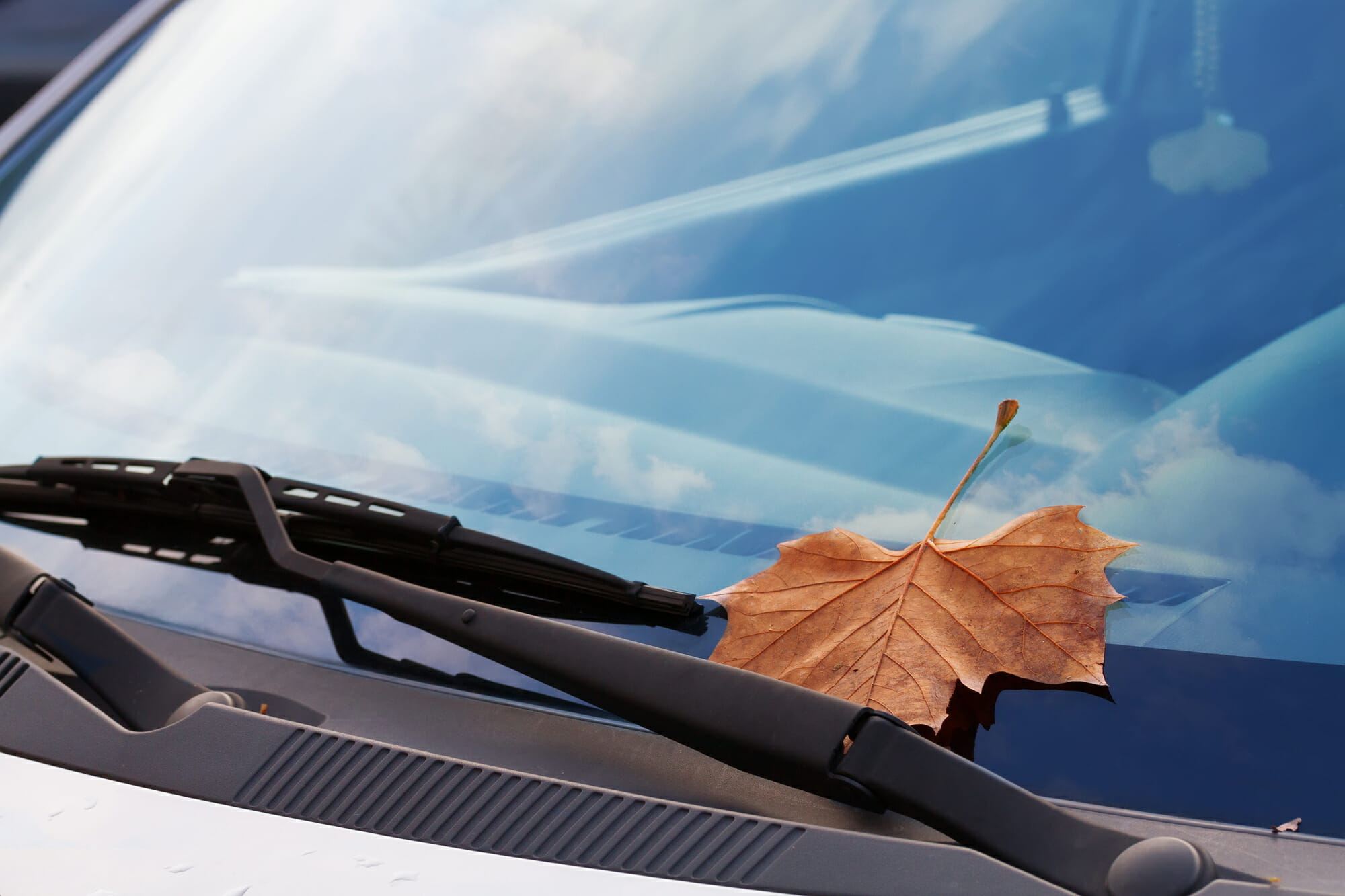 Car Windshield With A Leaf On It