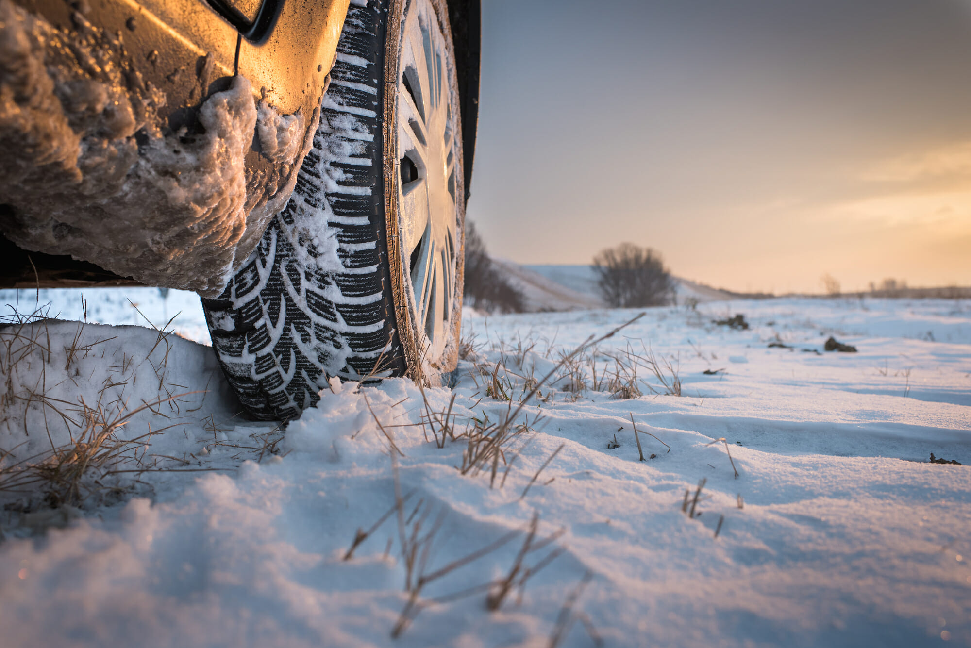 Car Tire In Snow Closeup