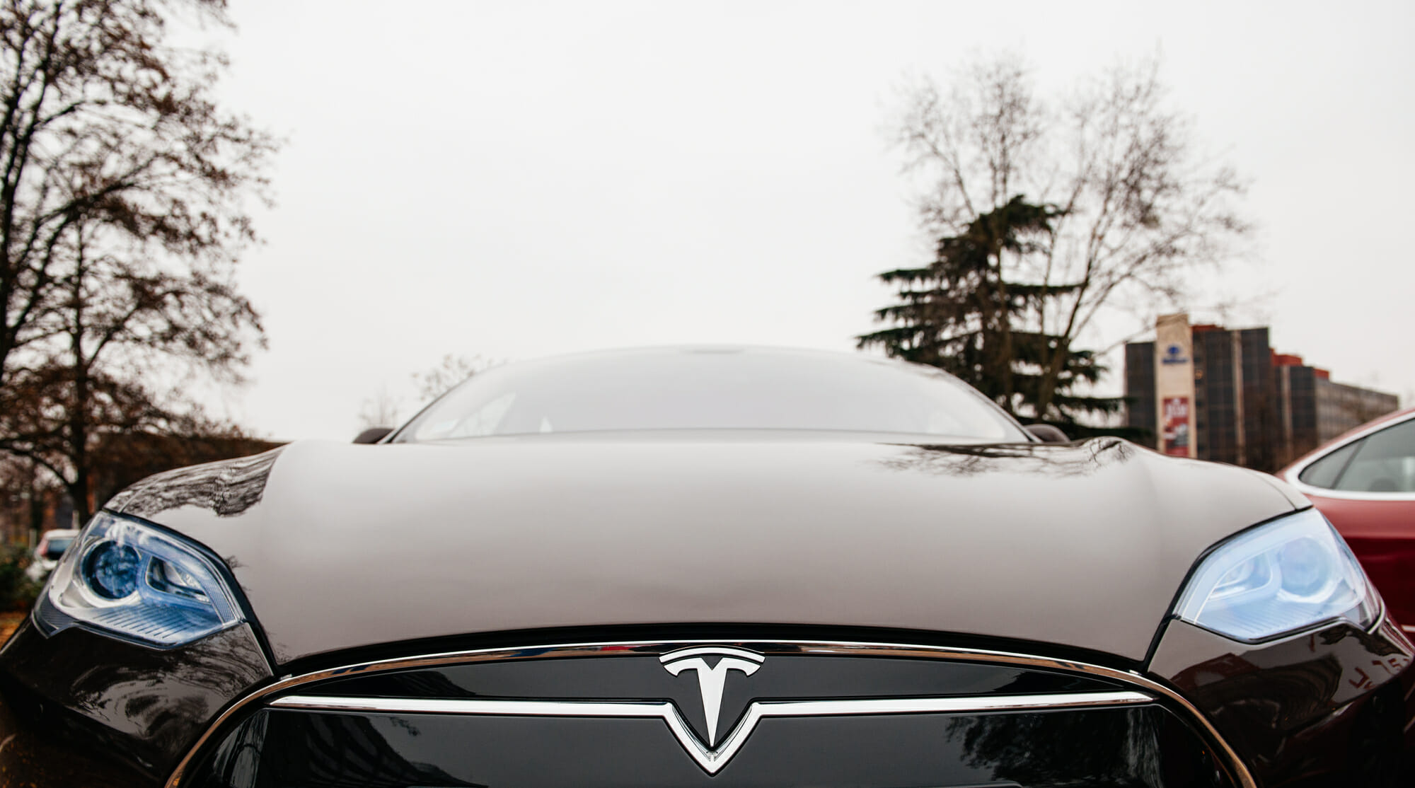 Closeup of Tesla logo on model