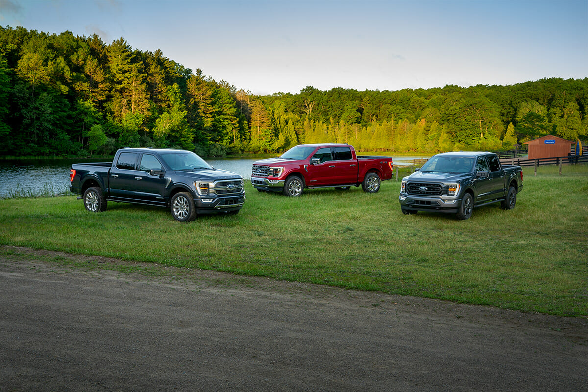 Ford F-150 Group
